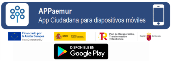 Servicios