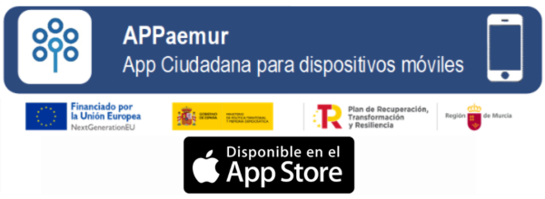Servicios